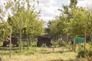 Natuurboerderij KipEigen