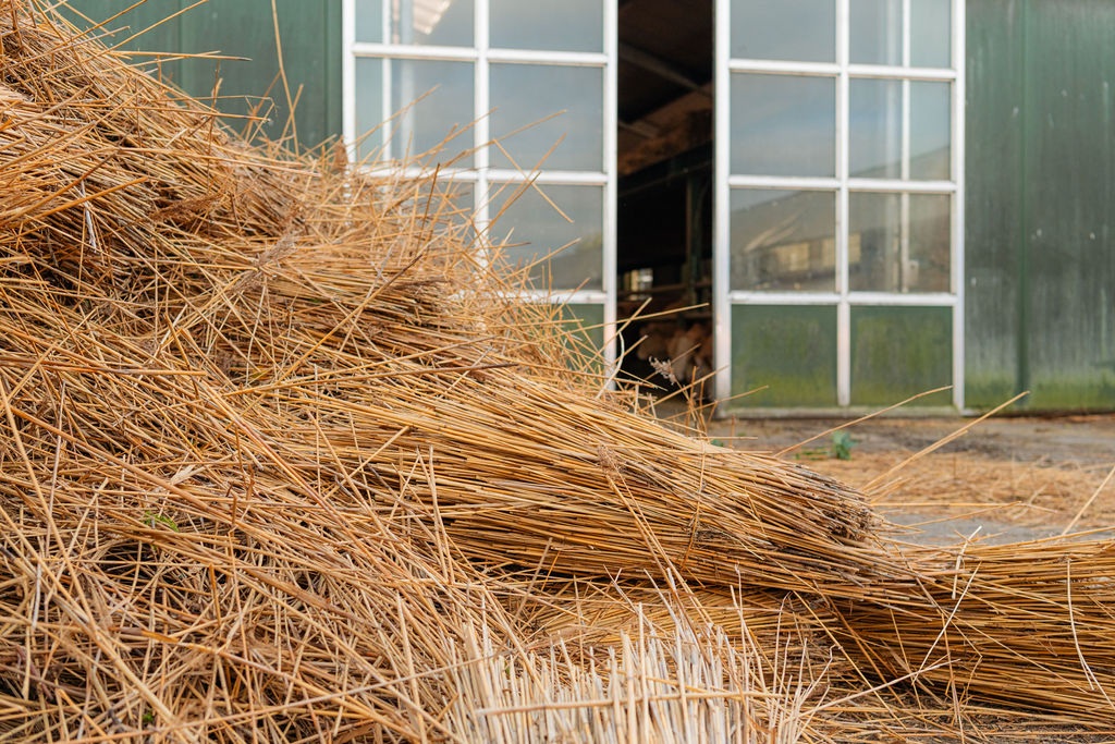 Vleesveehouderij Baelde