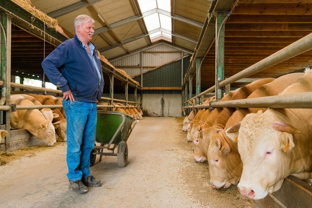 Vleesveehouderij Baelde