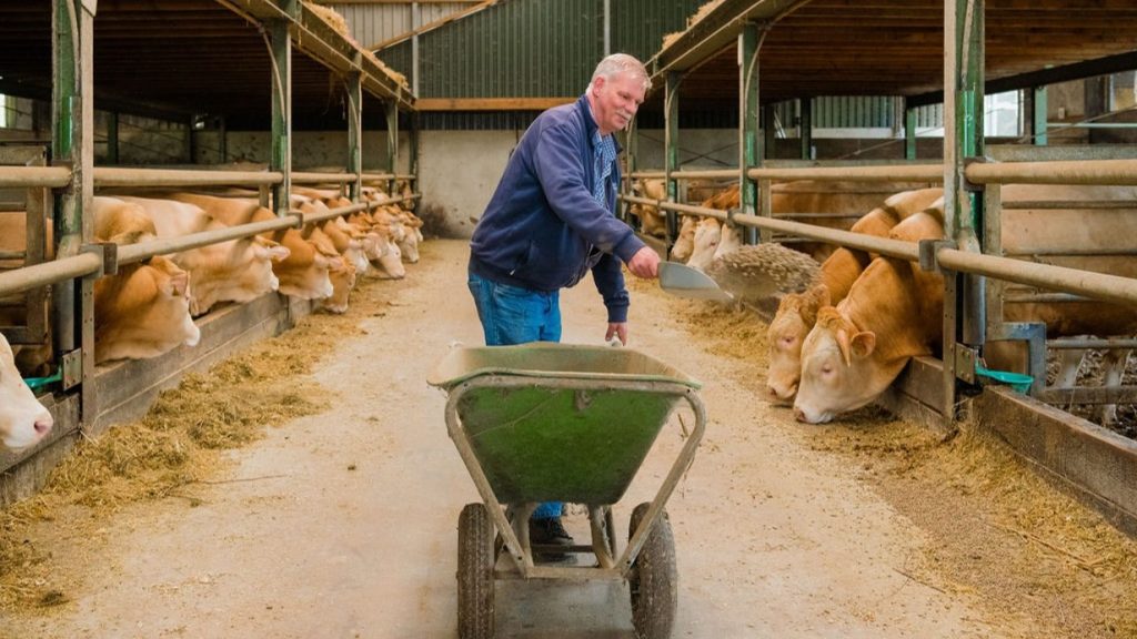 Vleesveehouderij Baelde