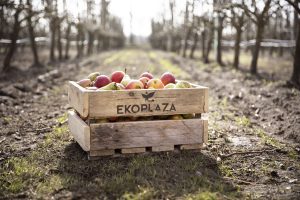 Ekoplaza appels