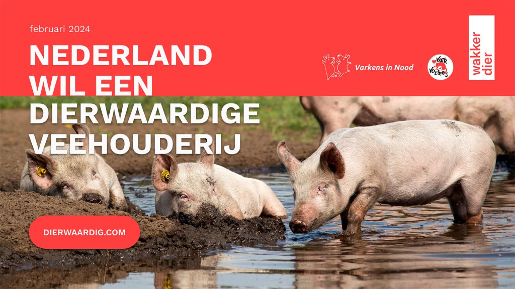 Nederland wil een dierwaardiger veehouderij